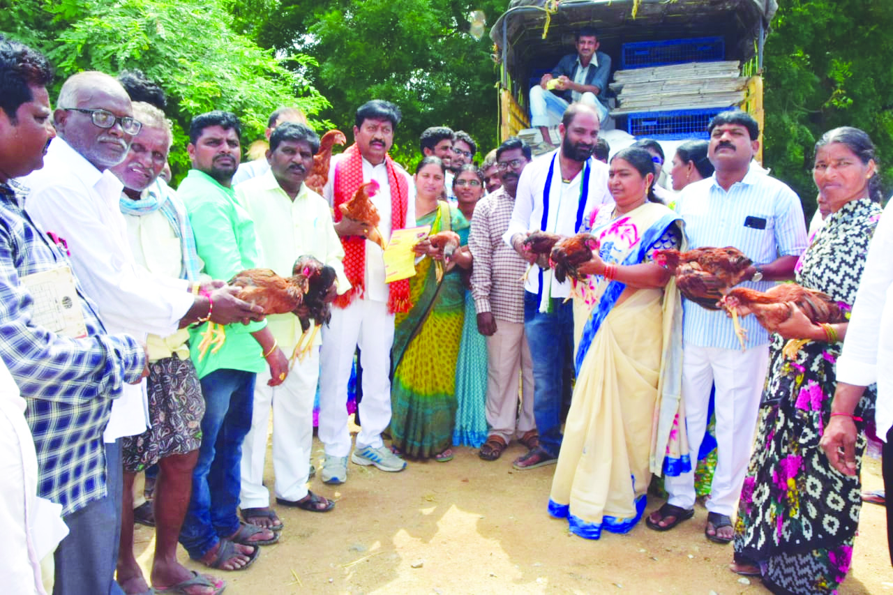 డ్రెయినేజీ సమస్యను పరిష్కరిస్తా : సామినేని