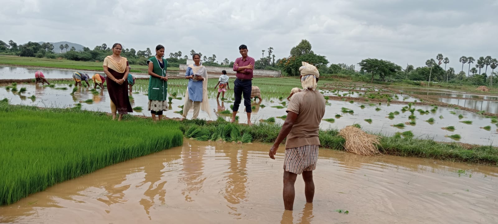 పంట వివరాల నమోదుతో ప్రయోజనాలు