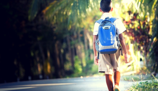 pressure on school students in andhra pradesh article