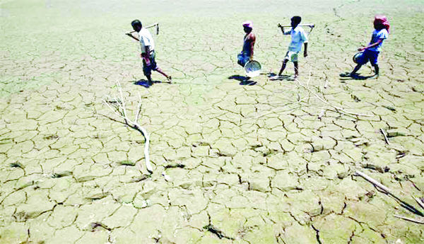 Nine-lakh-acres-of-beede