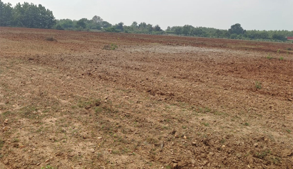Most-of-the-companies-that-have-acquired-land-in-SIPB-are-ruling-party-leaders