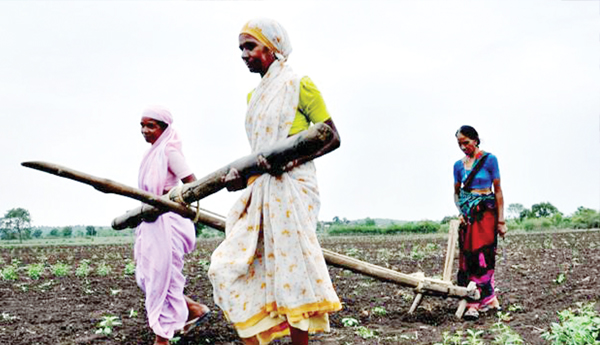 crisis in agriculture in india farmers problems article by ashok dhavale