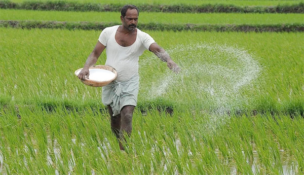 Fertilizer-companies-to-private-Decision-of-Central-Govt