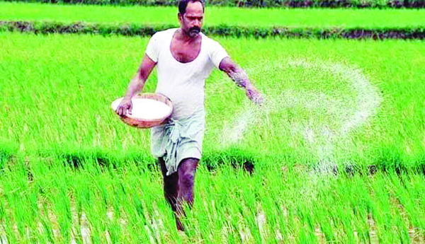Why-the-new-fertilizer-policy
