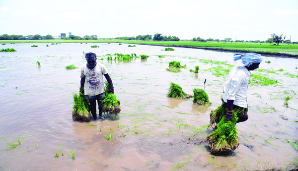 Normal-Kharif-is-difficult