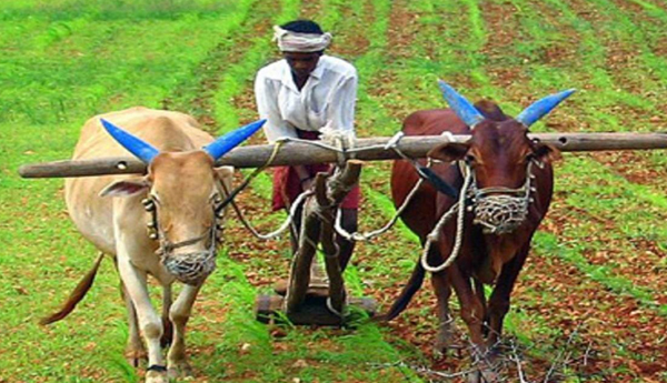 Defenseless-tenant-farmers