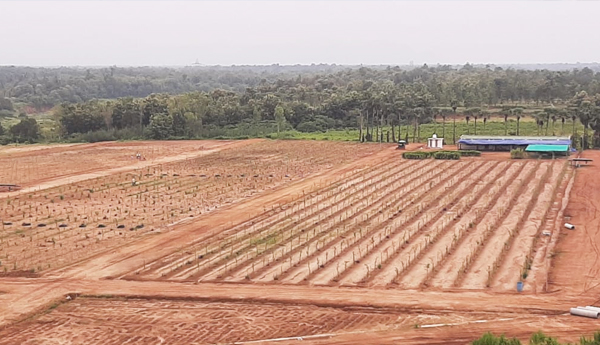 land irregularities in devarapalli