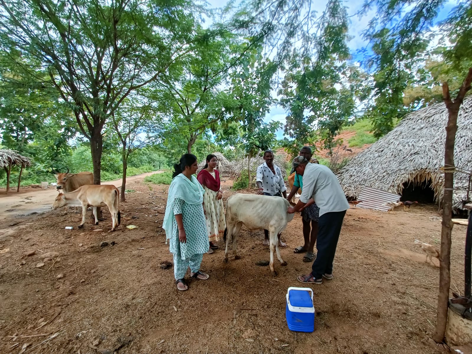 లంపి వ్యాధిపై అప్రమత్తత అవసరం