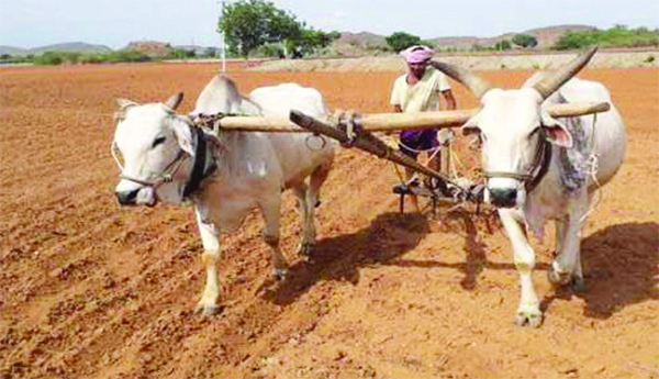 Survey-for-identification-of-cultivators