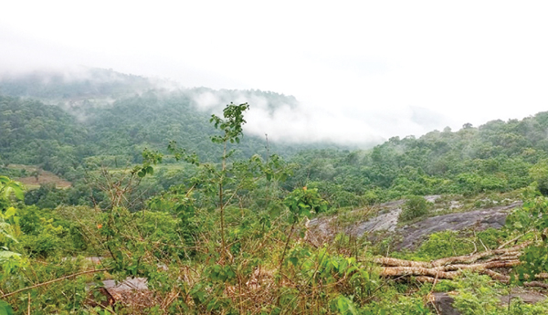 Government-pressure-on-NOC-for-hydro-power-project?