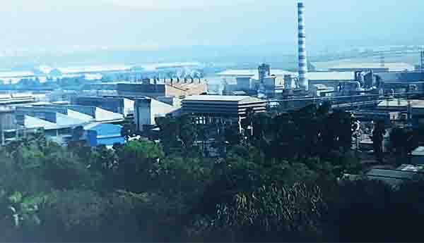  జింక్‌పై బిజెపి బొంకులు