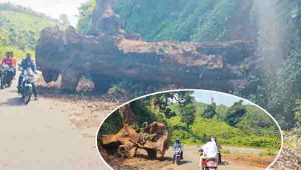 పొంచి ఉన్న ప్రమాదం