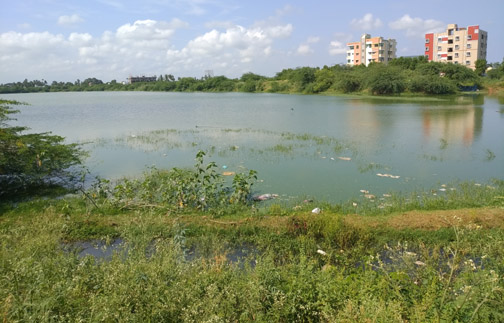 దుర్గంధంతో అవస్థలు