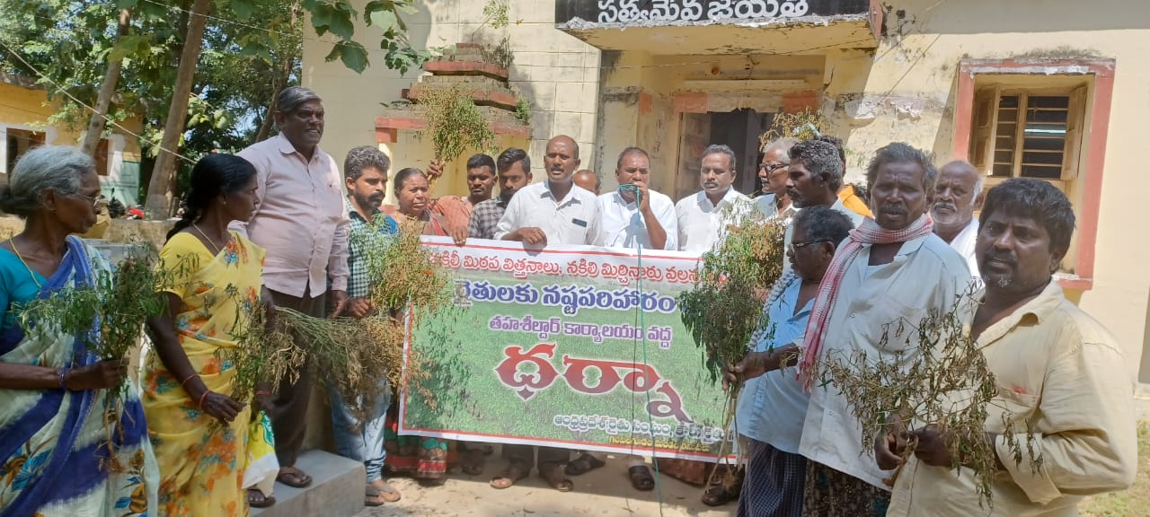 మిర్చి రైతులను ఆదుకోవాలని ఆందోళన