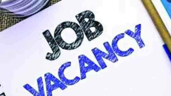 22న జాబ్‌మేళా