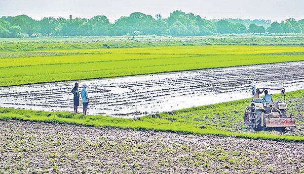 Four-decades-of-waiting-for-land-rights