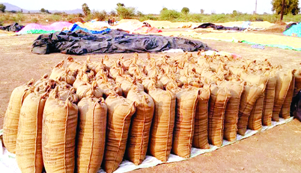 Buy-grain-through-the-app