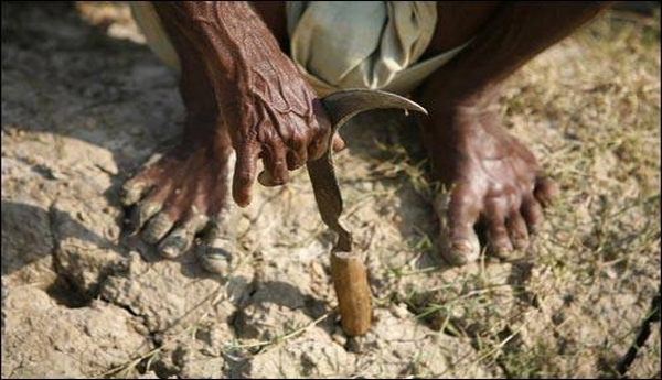 Farmer-survival