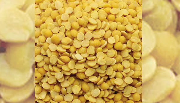 There-is-no-dal-for-the-festival