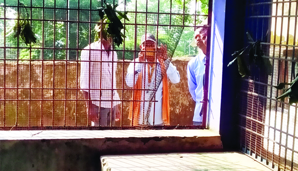 దారాలమ్మ ఆలయంలో నగలు, నగదు అపహరణ