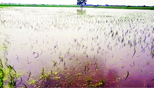 Plan-for-flood-prevention-of-farms