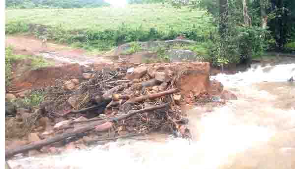 మన్యంలో ఏకధాటిగా వర్షాలు