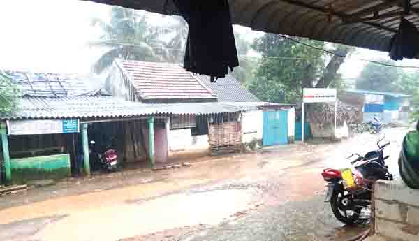  అల్లూరి జిల్లాలో విస్తారంగా వర్షాలు