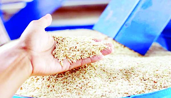Village-volunteers-are-responsible-for-grain-collection