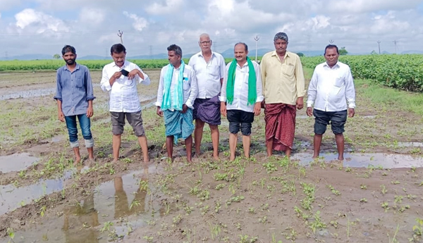 visit damage crops