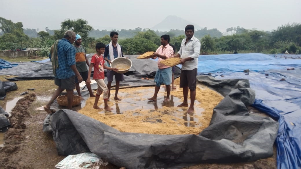 అన్నదాతల దైన్యం!