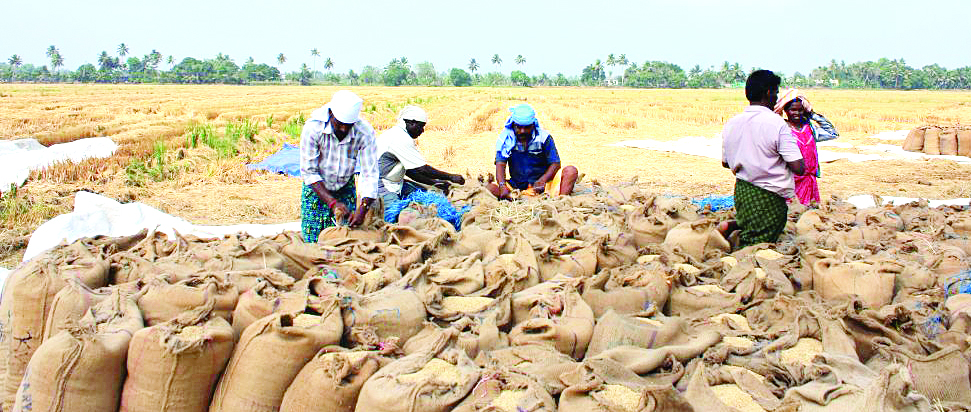 కల్లంలోనే కొనుగోళ్లు.. ఆచరణ సాధ్యమేనా..!