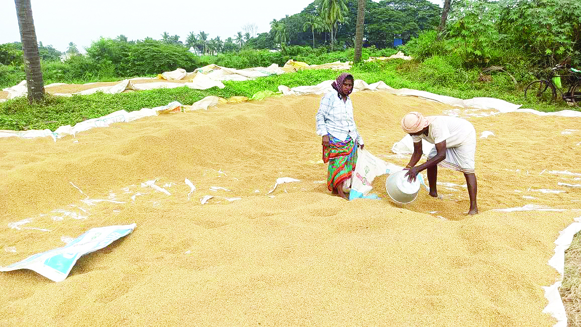 ధాన్యం కొనండయ్యా..!