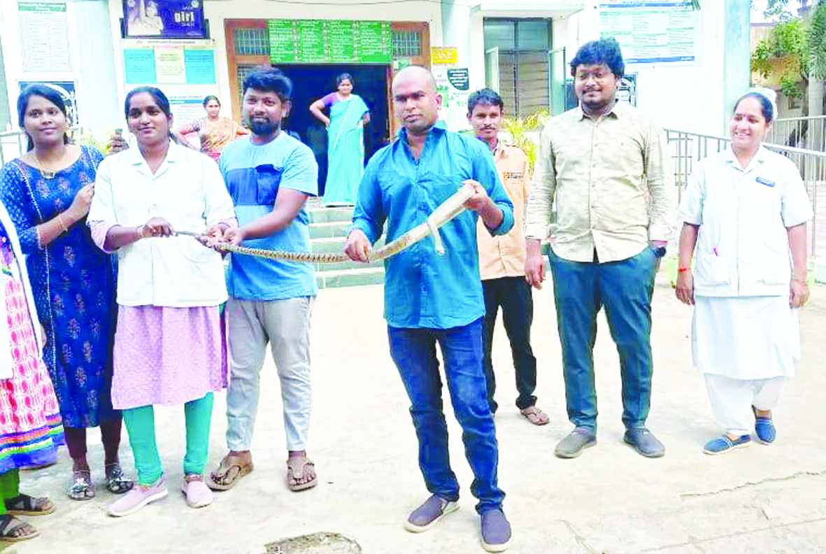 ఆసుపత్రిలో పాము హల్‌చల్‌