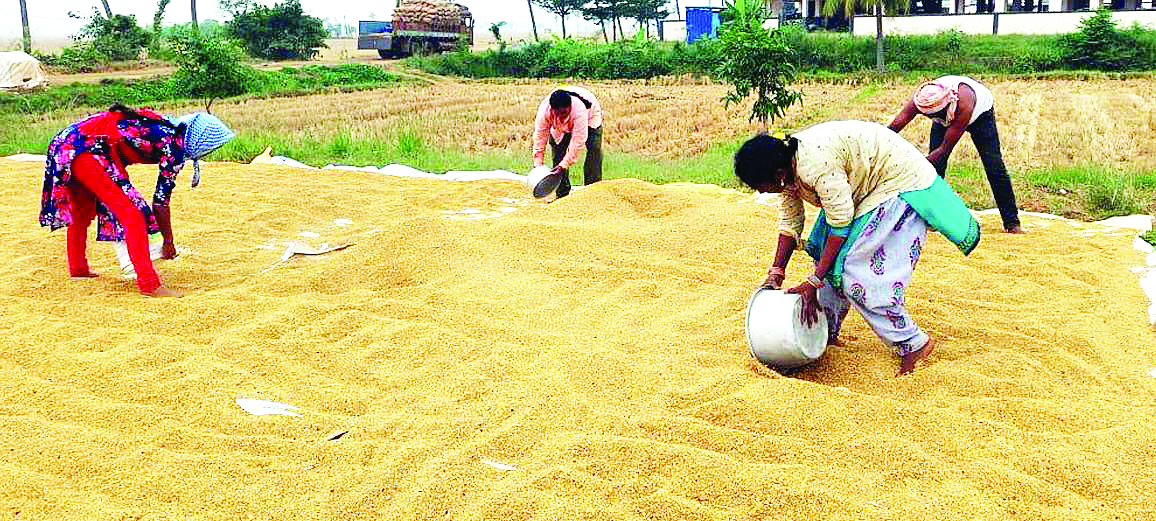 కొత్త విధానం.. కొంపముంచే..!