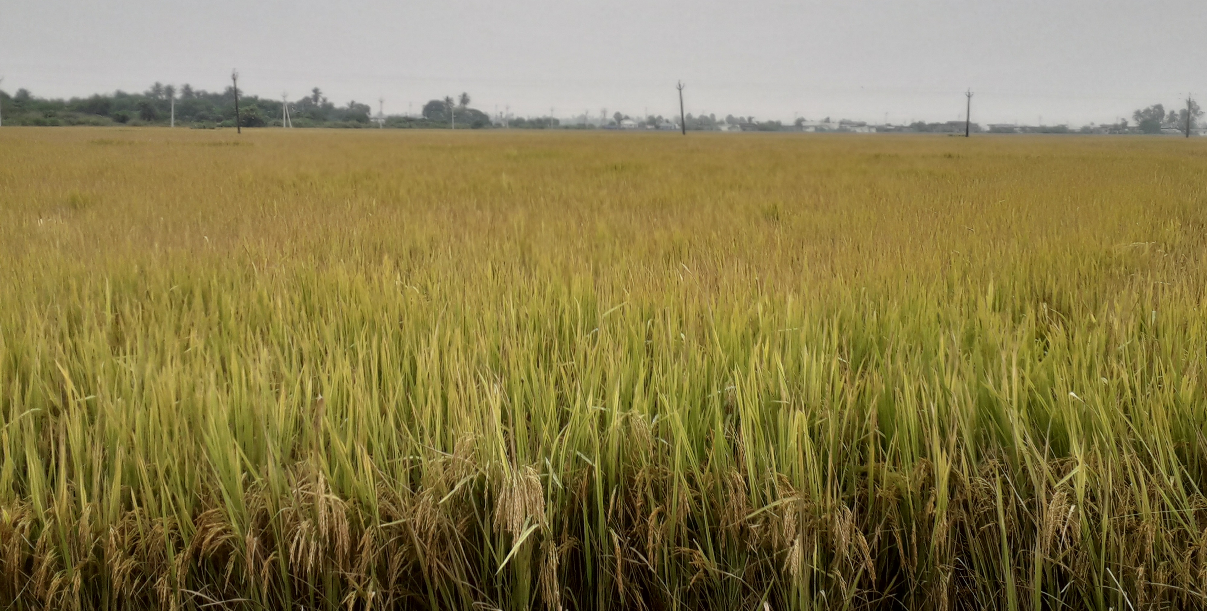 వాయు'గండం'