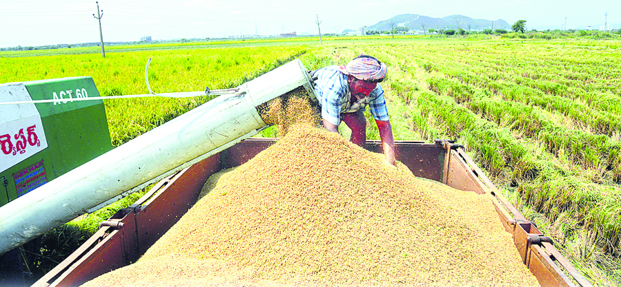 ఇ-క్రాప్‌లో నమోదైనా కొనరేం..!