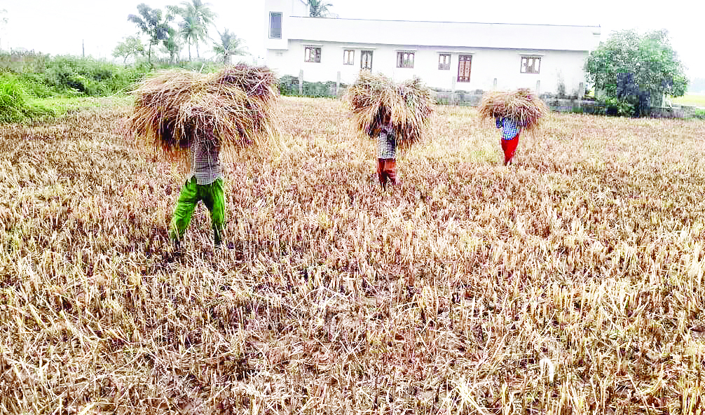 రైతులను వణికిస్తున్న వర్షాలు