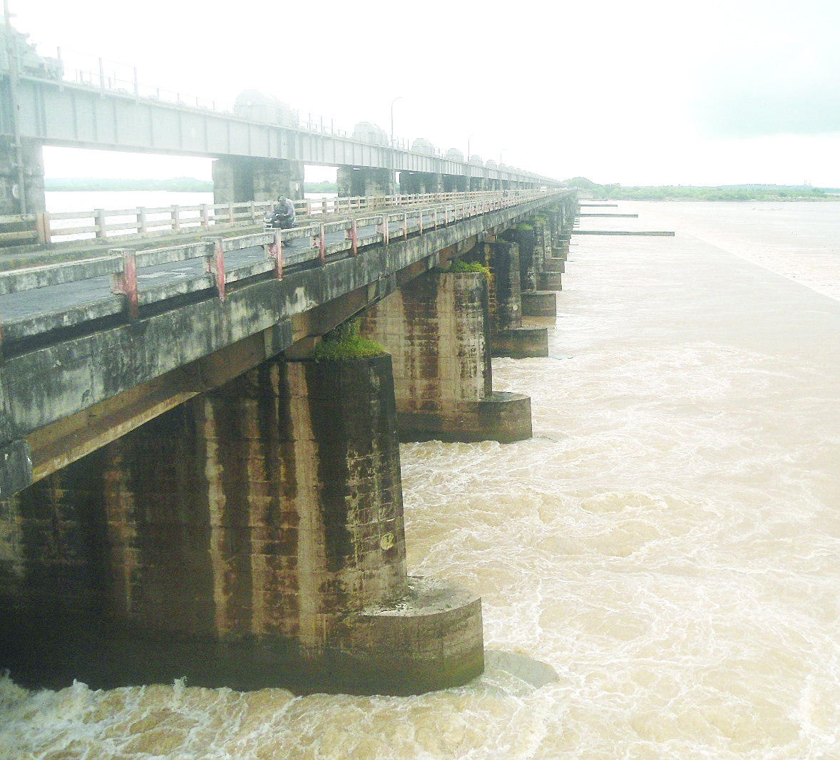 సాగునీరు పుష్కలమే..!