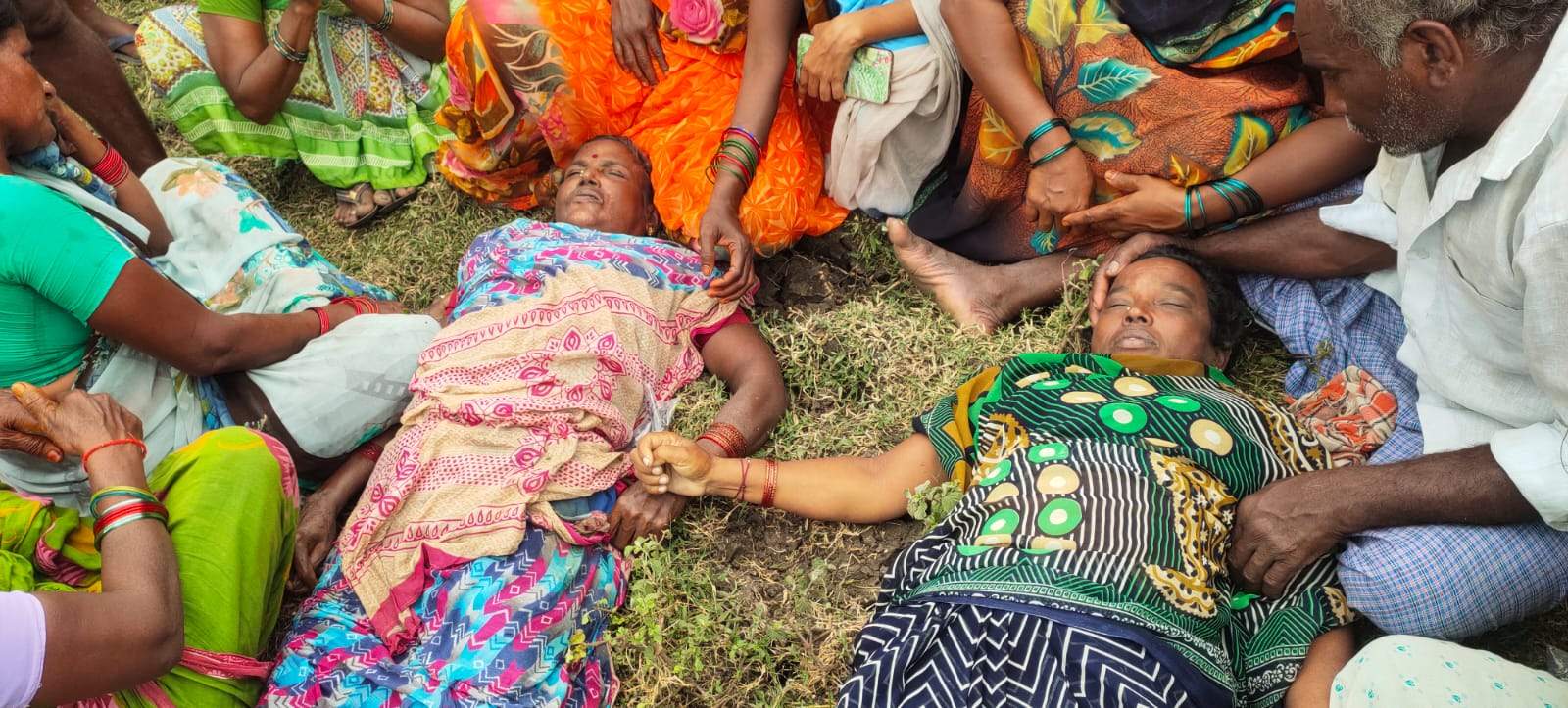 కబళించిన కొల్లేరు