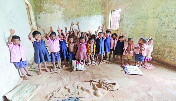 Is-this-the-contribution-to-the-education-of-wild-children