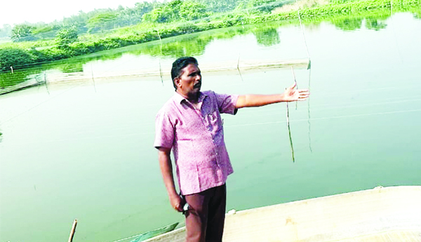 అక్రమంగా చేపల చెరువులు నిర్వహిస్తున్నయజమానులపై క్రిమినల్‌ కేసులు పెట్టాలి