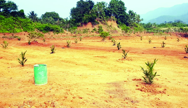 లీజు పేరుతో అసైన్డ్‌ భూమి అన్యాక్రాంతంపై చర్యలు తీసుకోవాలి