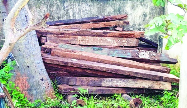 కలపకు నడకలు నేర్పిన కౌన్సిలర్‌