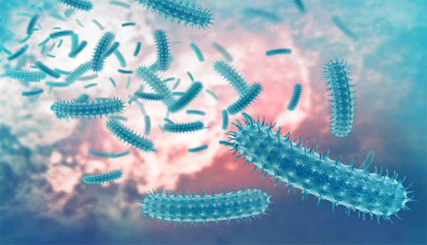 6-8-lakh-deaths-with-5-bacteria