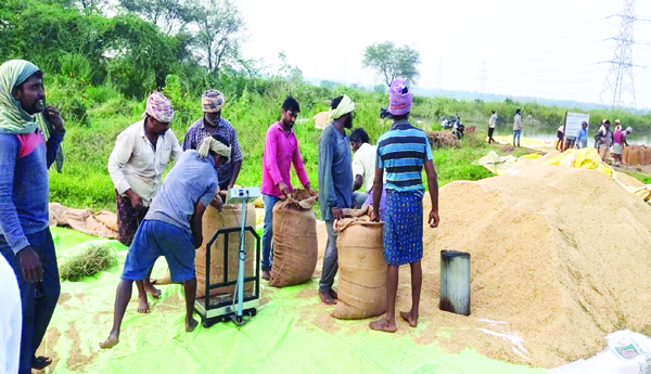 When-to-buy-grain