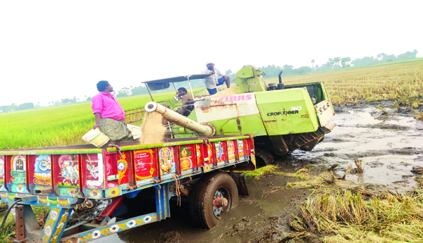 Thunder-on-grain-farmers