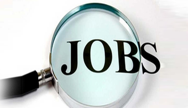 50%-of-jobs-are-in-small-enterprises-Apna.co-reveals