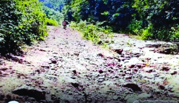 అధ్వానంగా మఠం భీమవరం రహదారి