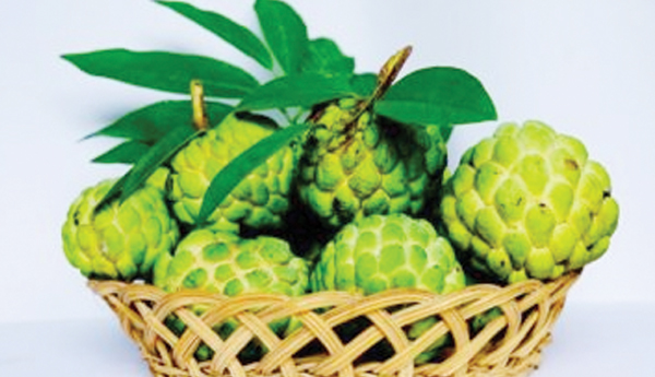 Custard-apple-in-cooking