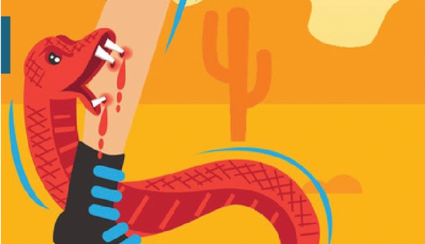 snake-bite-problem-in-ap-article